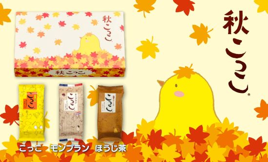 こっこ出品です こっこオンラインショップ